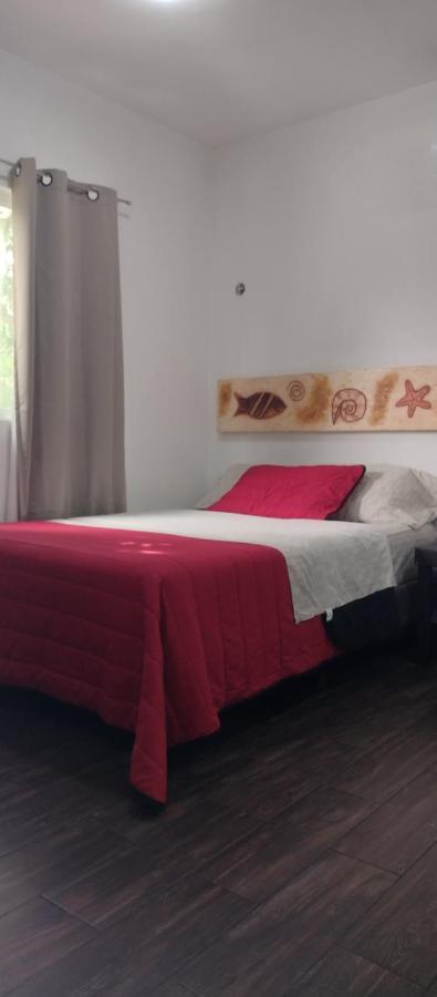 Estudio Zona Centro Cerca De La Terminal Ado Apartment Cancun
